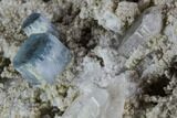 Aquamarine and Quartz On Albite Matrix- Pakistan #111358-3
